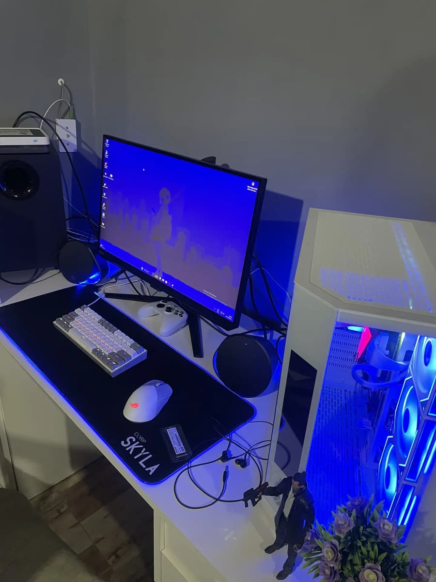 Foto de un comprador de este producto