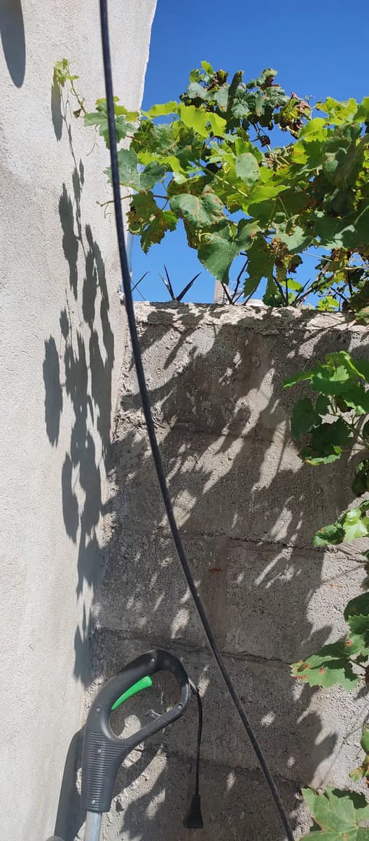 Foto de un comprador de este producto