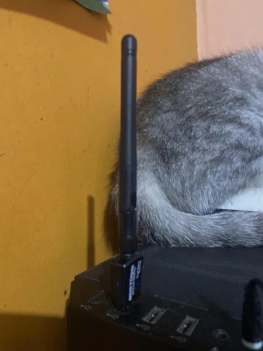 Foto de un comprador de este producto